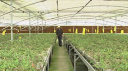 深耕农业守初心 谱写农业新篇章