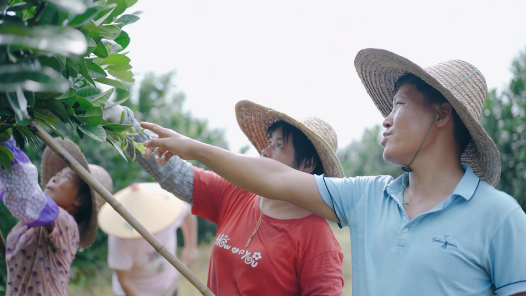 初心坚如磐石 使命扛在吾肩