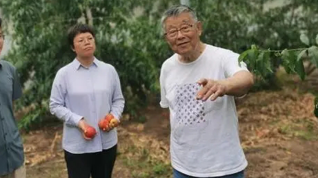二十大代表风采｜把成绩写在大地上