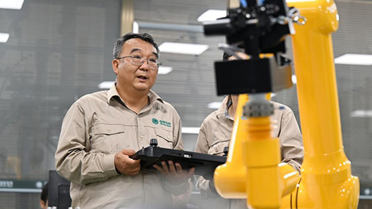 二十大代表风采 | 张黎明：用创新之光 点亮万家灯火