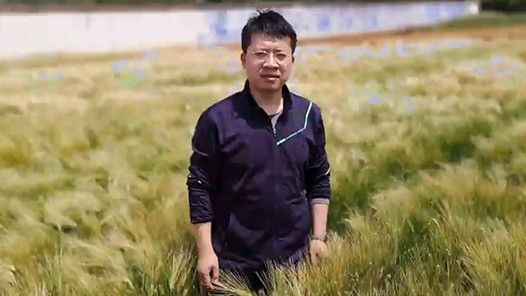 13年，他一直在为做强“中国芯”寻找“好”种子