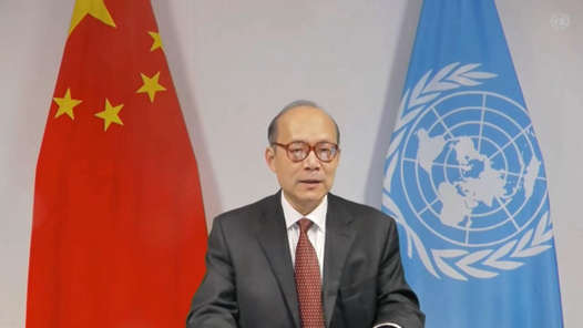 中国大使代表观点相近国家对一些国家执法部门针对少数族裔的歧视性执法表示严重关切