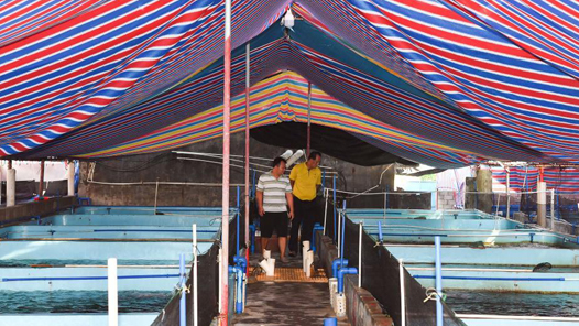 二十大代表风采丨王书茂：海上、岸上，始终不忘共产党员的职责