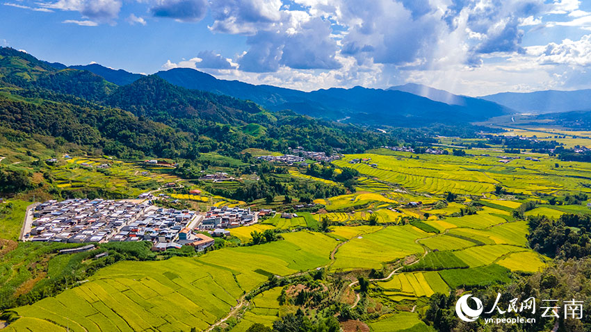 梁河县芒东镇的千亩连片稻田.人民网 虎遵会摄