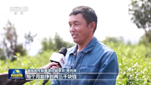 走进县城看发展｜湖南桂阳：产业转型 老矿区添新活力