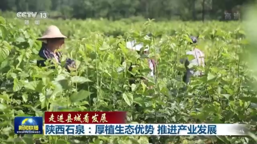 走进县城看发展｜陕西石泉：厚植生态优势 推进产业发展