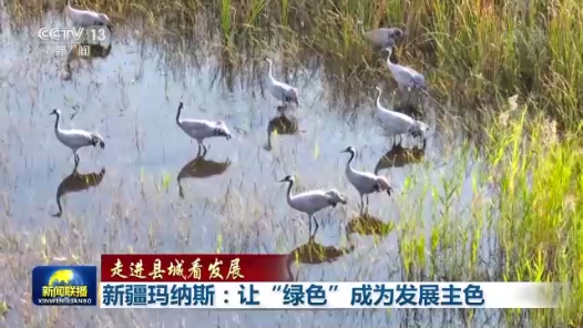 走进县城看发展｜新疆玛纳斯：让“绿色”成为发展主色