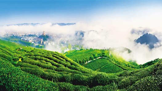 喜迎二十大丨贵州推动生态文明建设出新绩