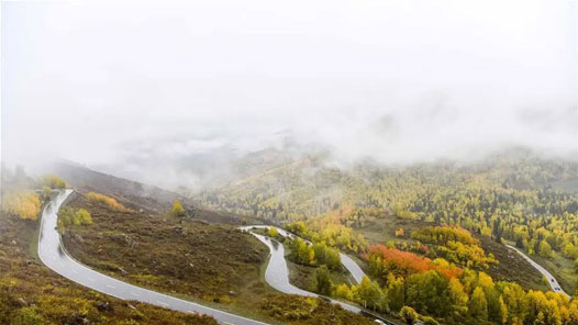 喜迎二十大丨新疆生产建设兵团：赓续红色血脉 谱写发展新篇