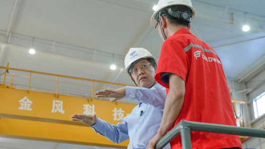 二十大代表风采 | “追风者”用绿色能源点亮世界