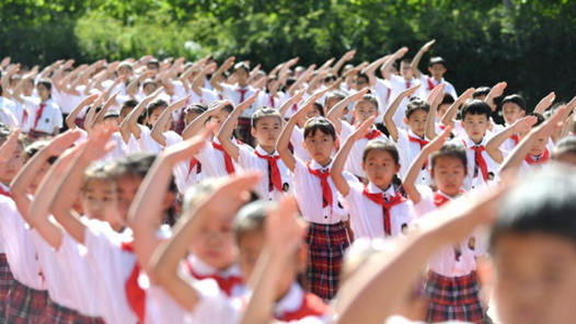 各地少先队组织集中开展“喜迎二十大”活动