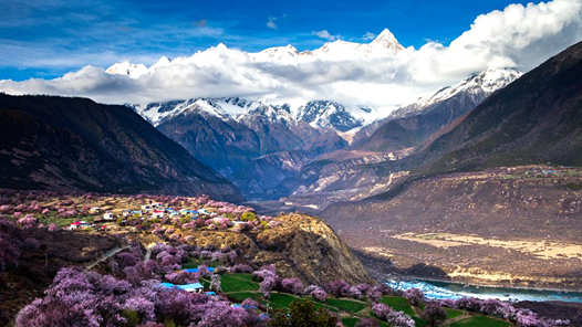 喜迎二十大丨西藏培育壮大高原特色产业