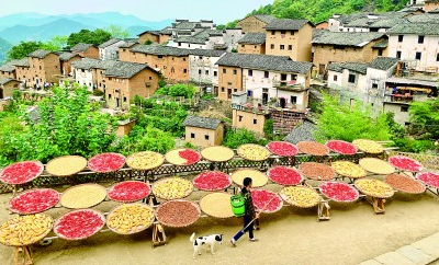 喜迎党的二十大丨乡村发展绘新篇