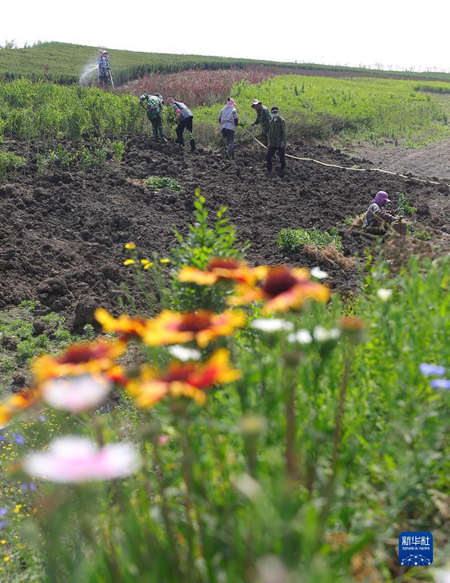 1129071780_16662102277711n 1129071780_16662102277711n