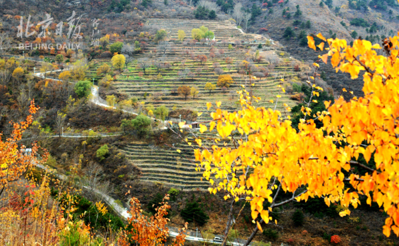 坡峰岭在哪个区或县 192395.png?r=1667098597905