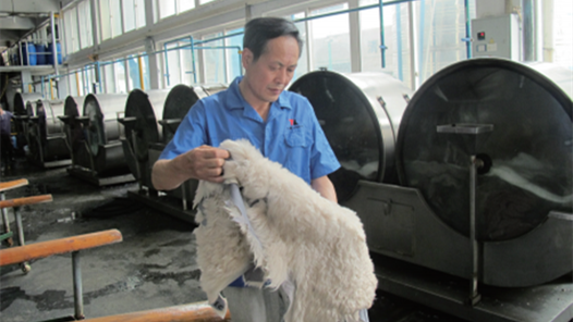 工匠汇·第二届轻工大国工匠｜马建标：毛皮行业节能环保的开拓者