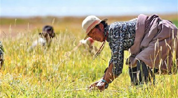 这十年·奋斗在路上 | 日出“东”方 电亮“兴”旺
