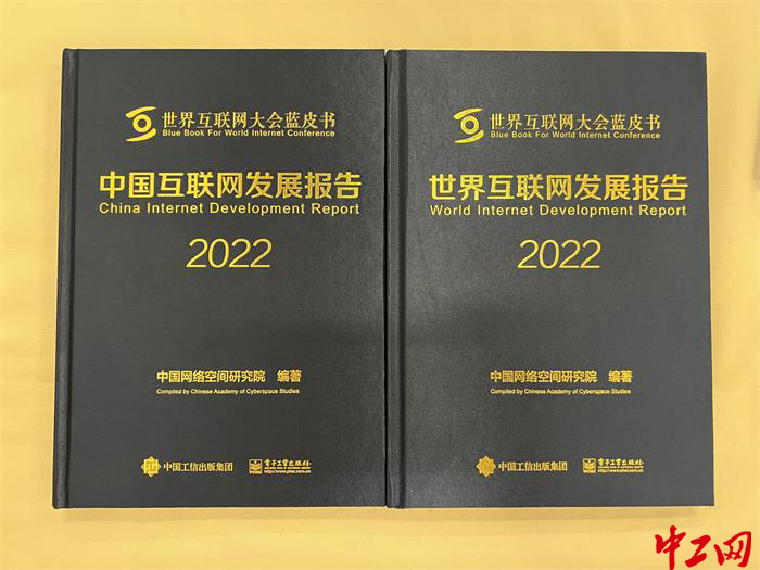 发展报告蓝皮书