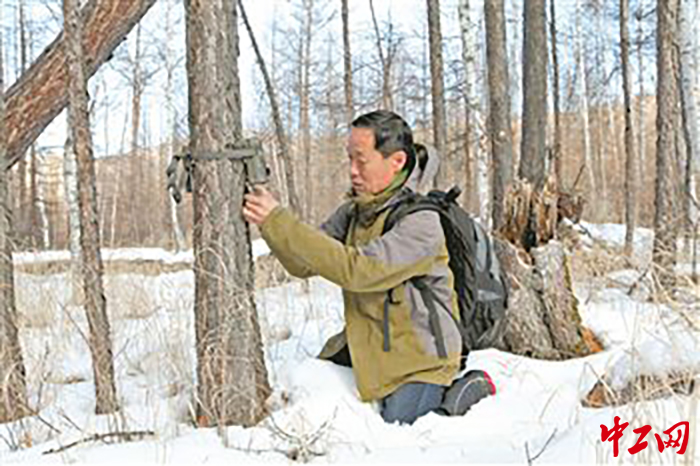 17767487799854423792