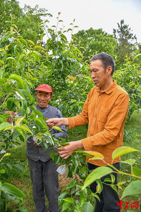 微信图片_20221116111839