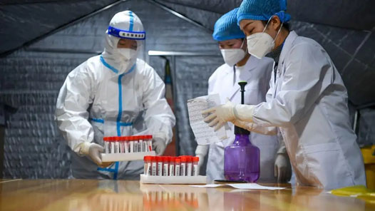 31省新增本土“2641+26242” 在广东、北京等地