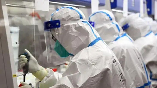 31省新增本土“3927+27517” 在广东、北京等地