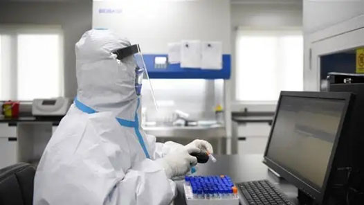 31省新增本土“3748+36304” 在广东、北京等地