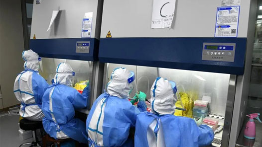 31省新增本土“3561+34860” 在广东、北京等地