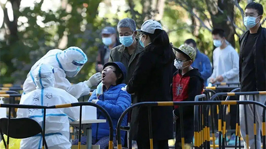 31省新增本土确诊病例2229例 在广东、北京等地