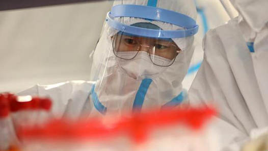 31省新增本土确诊病例2656例 在广东、北京等地