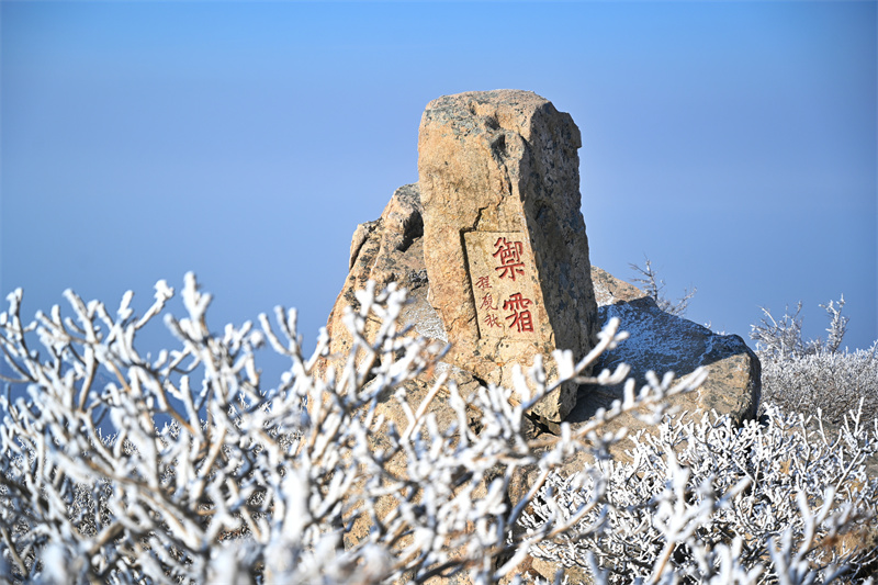 岱顶开启仙境模式雾凇奇观现泰山之巅