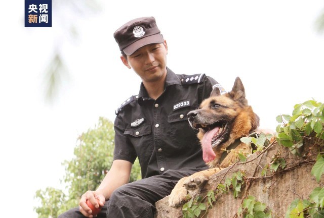 打拐英雄胡叔叔一等功