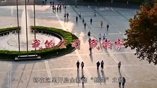 我的公司我的家