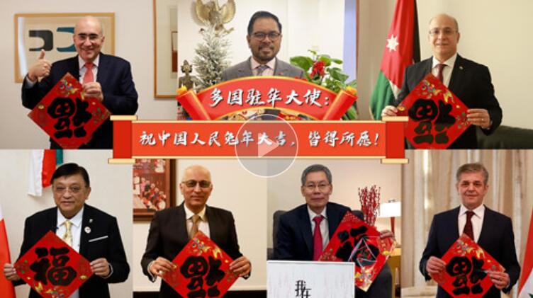 QQ截图20230121133953