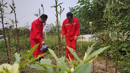 2022最班组丨12 大山深处的幸福守护