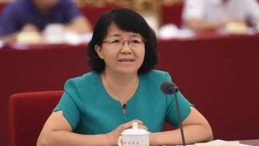 许玲委员——直面需求 扎实调研