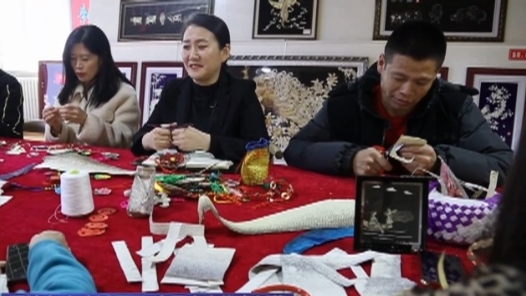 全国人大代表刘蕾：以优秀传统文化助力乡村振兴