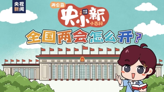 一条视频看懂两会知识点