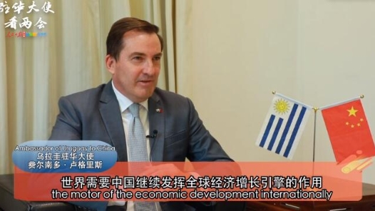 驻华大使谈两会：“中国两会对世界意义重大”