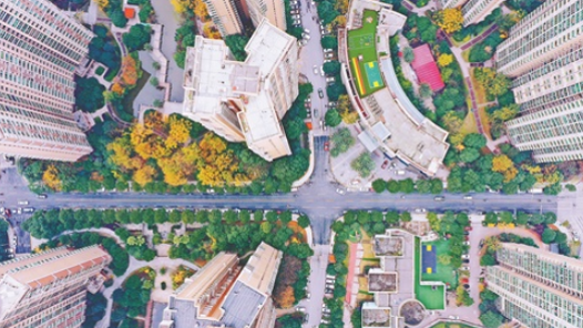 人民政协是社会主义协商民主的重要实践形式