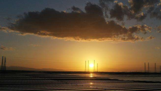 罪犯孩子是否能考公，值得一辩