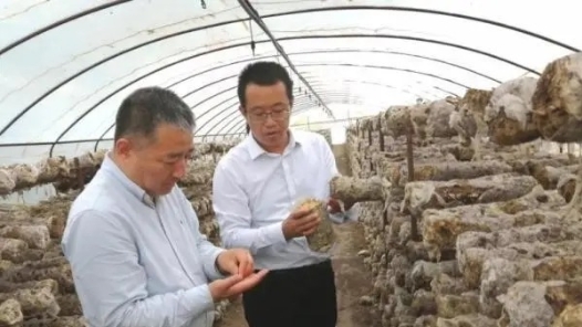 张志军委员——用科研促进三产融合