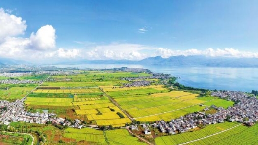 履职尽责画好奋进同心圆