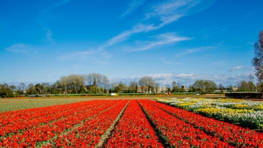 齐众心 汇众力 聚众智