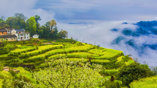 假日制度改革：“拆东墙补西墙”不如直接做“加法”