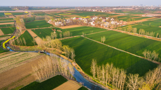 凝心聚力 共谱华章