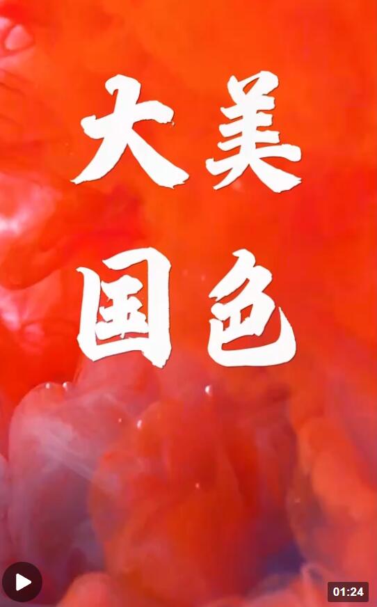 QQ截图20230304175739