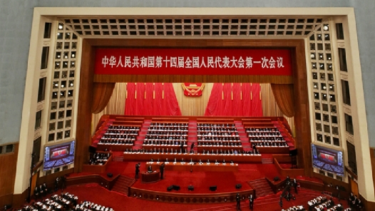 热图直击｜十四届全国人大一次会议在京开幕