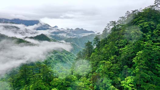 “两会”彰显了全过程人民民主的独特优势