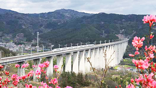 花开中国，春满神州